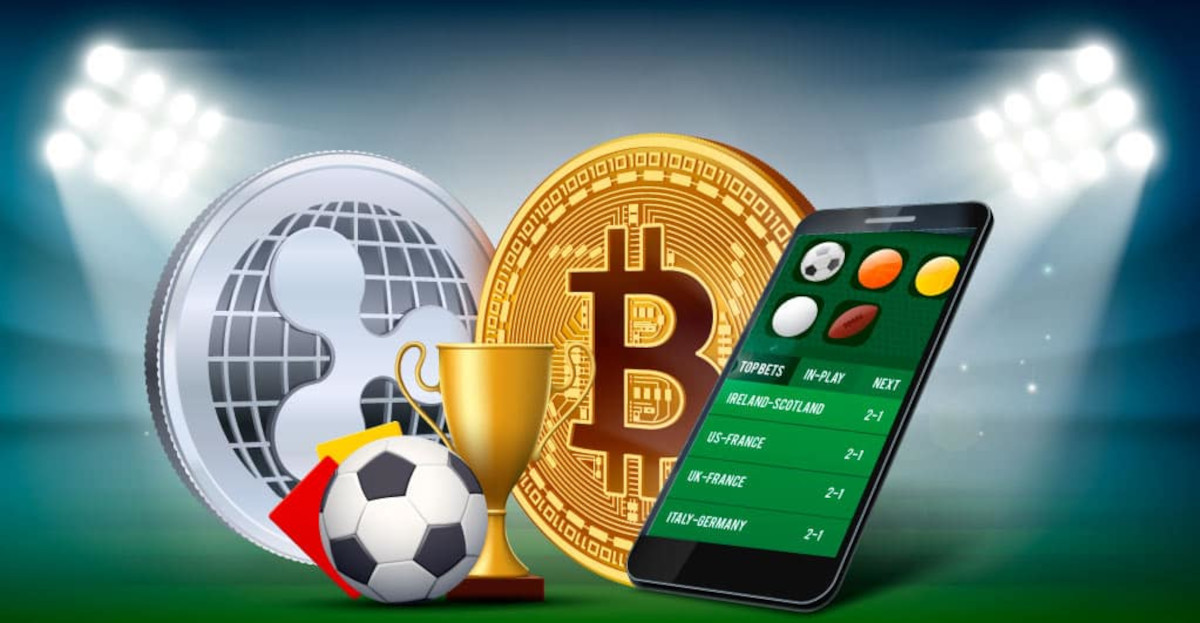 Play in Crypto-Friendly Online Casinos A Modern Gaming Experience