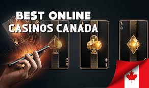 Top 10 Online Casinos Discover the Best Places to Play Top 10 Online Casinos Discover the Best Places to Play